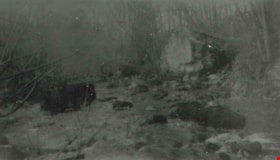 Creek at Deer Lake, [1928] (date of original), copied 1991 thumbnail