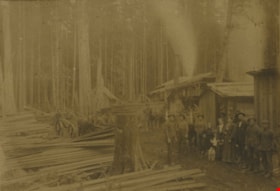 Lumber Camp and Mill, [between 1906 and 1908] thumbnail