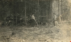 Logging in Central Park, [1911] thumbnail