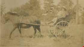 Girls in horse-drawn cart, [1905] thumbnail