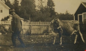Claude Hill leading a cow, [1910] thumbnail