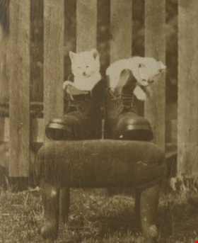 Kittens in Boots, [1910] thumbnail