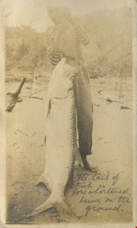 Man holding a fish, [1910] thumbnail