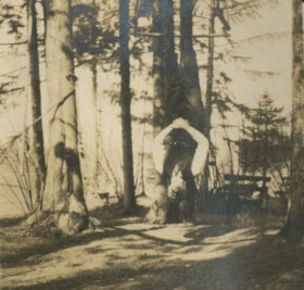 Man hanging on tree swing, [1910] thumbnail
