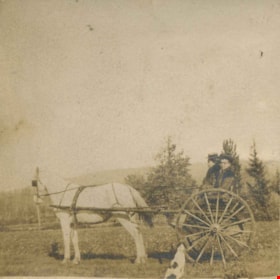 Annie Hill driving a horse-drawn carriage, [1905] thumbnail
