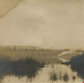Land Clearing on the shores of Deer Lake, [1905] thumbnail