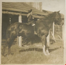 Kitty riding a horse, [1902] thumbnail