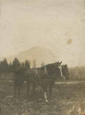 Horse team, [1905] thumbnail