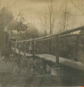 Kitty on a footbridge, [1904] thumbnail
