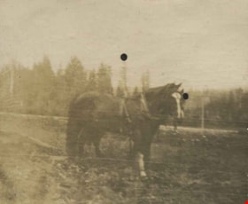 Workhorses, [1904] thumbnail