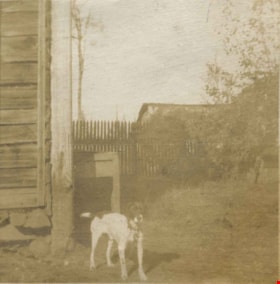 Dog in Yard, [1904] thumbnail
