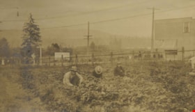 Farm workers, [1905] thumbnail