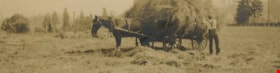 Farmer gathering hay, [1905] thumbnail