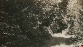 Trail in the Woods, [1920] thumbnail