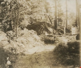 Trail through the forest, [1920] thumbnail