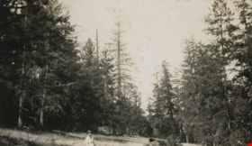 Girl standing in a field, [1920] thumbnail