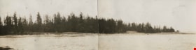 Shoreline at Yellow Point, [1920] thumbnail