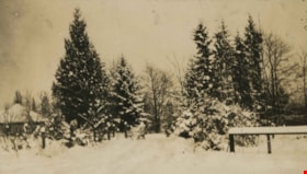 Trees and in the snow, 1922 thumbnail