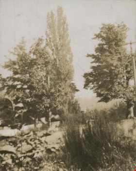 Garden, 1922 thumbnail