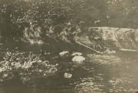 Deer Lake Brook, 1922 thumbnail