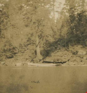 Boat resting along the shore at Yellow Point, 1915 thumbnail
