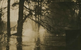 Deer Lake Brook in flood, 1916 thumbnail