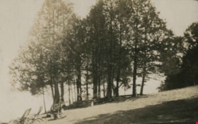 The Slope in Front of the Camp at Yellow Point, 1923 thumbnail