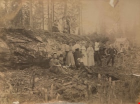 People next to a large fallen tree, 1898 thumbnail