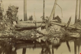 Clearing Deer Lake frontage, [1891] thumbnail