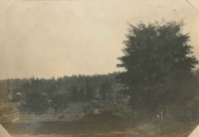 Looking south from Bernard Hill's house, 1906 thumbnail