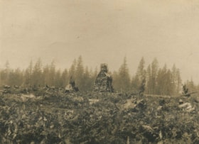Wood stacked for a bonfire, 1897 thumbnail