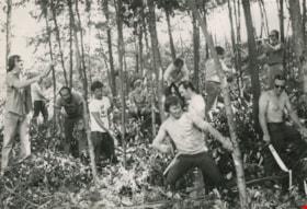Clearing underbrush from the ravine, 1975, published July 7, 1975 thumbnail