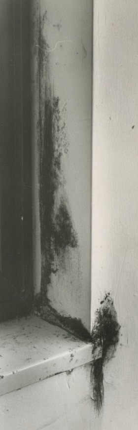 Mold along a window ledge, 1977 thumbnail