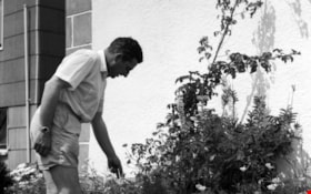 Harold in the garden, 1965 thumbnail