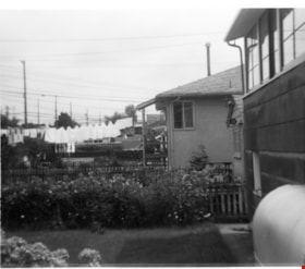 Backyard of 4447 Venables Street, 1974 thumbnail