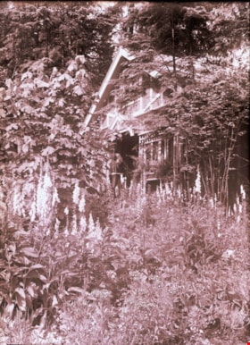 House surrounded by foxgloves, [1914] thumbnail