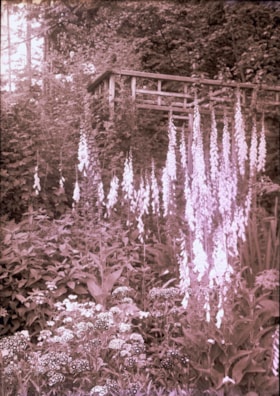 Foxgloves, [1914] thumbnail