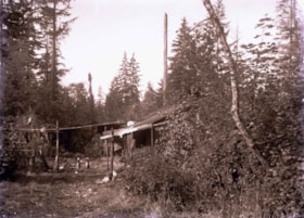 Shack in the woods, [between 1910 and 1914] thumbnail