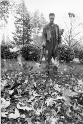 A worker clearing leaves, November, 1995 thumbnail