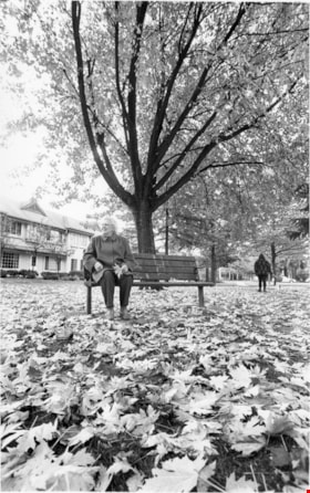 A woman sitting on a park bench, November, 1995 thumbnail