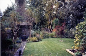 Backyard, [between 1995 and 1998] thumbnail