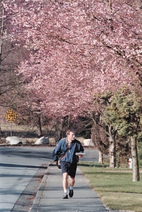 Letter carrier under blossoms, [2001] thumbnail