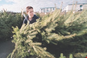 Moscrop Secondary Christmas tree sale, [2000] thumbnail