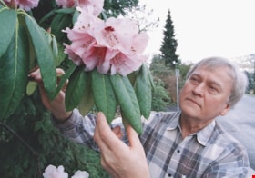 Norbert Wuensche's rhododendron garden, [2002] thumbnail