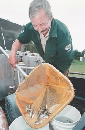 Fish release for BC Rivers Week, [2000] thumbnail