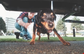 Mark Pollen and rescue dog, [2001] thumbnail