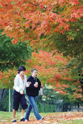 Fall leaves in Deer Lake Park, [2002] thumbnail