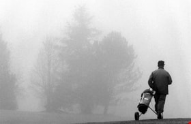 Foggy golf course, [1999] thumbnail