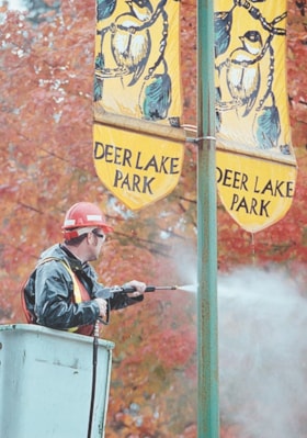 Cleaning the banner poles in Deer Lake Park, [1999] thumbnail