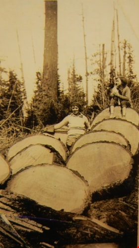 Cut wood, [193-] (date of original), digitally copied 2012 thumbnail